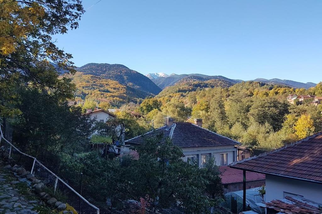 Duvaro Guesthouse Raduil 외부 사진